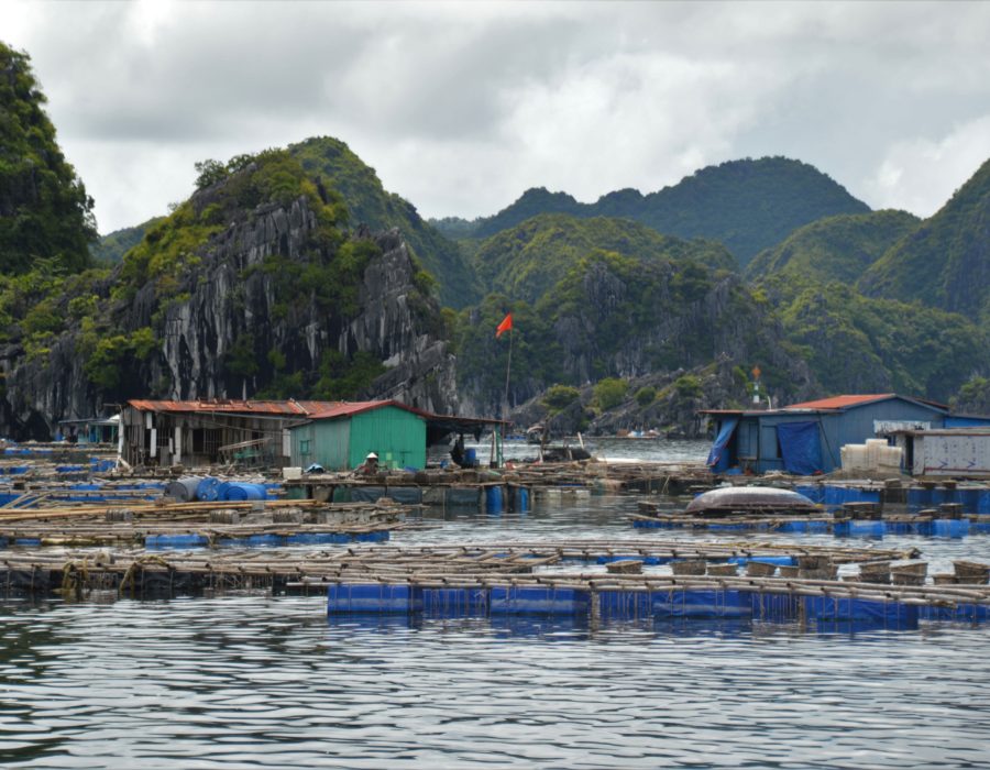 Vietnam floating village