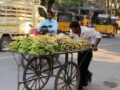Trafik i Indien — et kapitel for sig