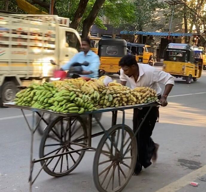 Trafik i Indien — et kapitel for sig